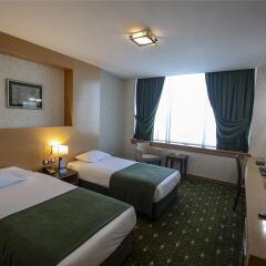Gaziantep Plaza Hotel Турция, Газиантеп - отзывы, цены и фото номеров - забронировать отель Gaziantep Plaza Hotel онлайн комната для гостей фото 5