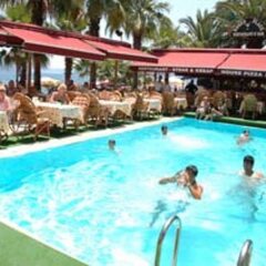 Отель Palm Beach с домашними животными