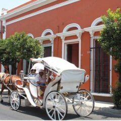 Отель Home and Hostel Мексика, Гвадалахара - отзывы, цены и фото номеров - забронировать отель Home and Hostel онлайн фото 2