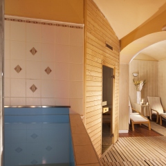 Отель Green Garden Hotel Чехия, Прага - - забронировать отель Green Garden Hotel, цены и фото номеров сауна