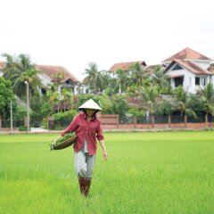 Отель Hoi An Trails Resort Вьетнам, Хойан - отзывы, цены и фото номеров - забронировать отель Hoi An Trails Resort онлайн спортивное сооружение