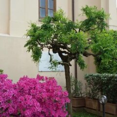 Отель Villa Gabriele DAnnunzio фото 11