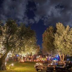 Отель Algodon Wine Estates and Champions Club Аргентина, Сан-Рафаэль - отзывы, цены и фото номеров - забронировать отель Algodon Wine Estates and Champions Club онлайн фото 10