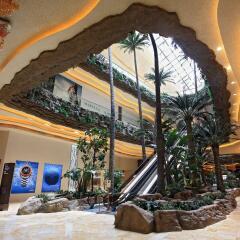 Отель Holiday Inn Macao Cotai Central интерьер отеля фото 2