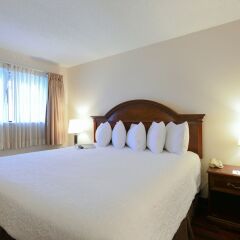 Отель The Varsity Inn комната для гостей