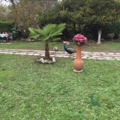 Отель B&B Happy Family Палаццоло-делло-Стелла фото 9