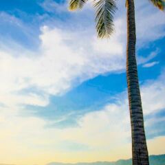 Отель Krystal Beach Acapulco фото 3