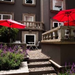 Отель Pug Seal B&B Coyoacan Мексика, Мехико - отзывы, цены и фото номеров - забронировать отель Pug Seal B&B Coyoacan онлайн