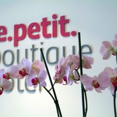 Отель Le Petit Boutique Hotel - Adults Only Испания, Сантандер - отзывы, цены и фото номеров - забронировать отель Le Petit Boutique Hotel - Adults Only онлайн интерьер отеля фото 2