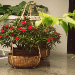 Отель Green Coco Homestay Hoi An фото 6