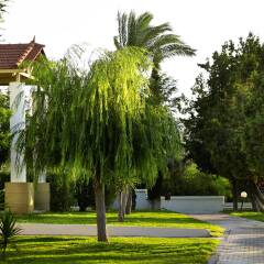 Отель Mitsis Rodos Maris Resort & Spa - All Inclusive фото 4
