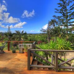 A-Frame Chalets @ Mokutu in Burnt Pine, Norfolk Island from 135$, photos, reviews - zenhotels.com balcony