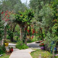 Отель Olive Farm Of Datca Guesthouse - Adults Only Датча фото 16