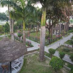 Отель Chitwan Adventure Resort Непал, Саураха - отзывы, цены и фото номеров - забронировать отель Chitwan Adventure Resort онлайн фото 3