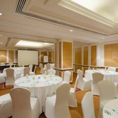Отель Holiday Inn Singapore Orchard City Centre Сингапур, Сингапур - 1 отзыв об отеле, цены и фото номеров - забронировать отель Holiday Inn Singapore Orchard City Centre онлайн фото 9