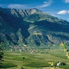 Отель Pension Lärchenhof Натурно фото 2