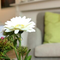 Отель B&B Alphabet - Luxury Guesthouse and Art Gallery интерьер отеля