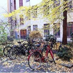 Отель Södermalm Home Stay Швеция, Стокгольм - отзывы, цены и фото номеров - забронировать отель Södermalm Home Stay онлайн спортивное сооружение