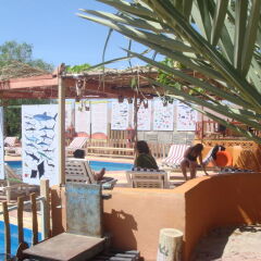 Отель Bedouin Garden Village пляж