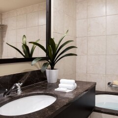 Отель Vouliagmeni Suites Греция, Афины - 1 отзыв об отеле, цены и фото номеров - забронировать отель Vouliagmeni Suites онлайн ванная фото 2