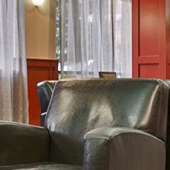 SureStay Plus Hotel by Best Western Houston Medical Center развлечения