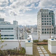 Отель D Seven Suites балкон