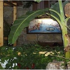 Отель Tas Motel Сиде бассейн