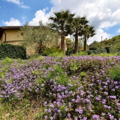 Отель B&B Giucalem - La Casa Negli Orti Пьяцца-Армерина фото 11