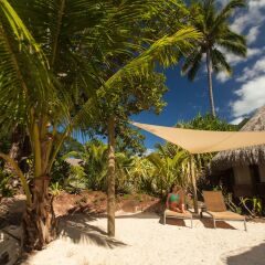 Отель Sofitel Moorea la Ora Beach Resort Французская Полинезия, Папеэте - 1 отзыв об отеле, цены и фото номеров - забронировать отель Sofitel Moorea la Ora Beach Resort онлайн фото 5