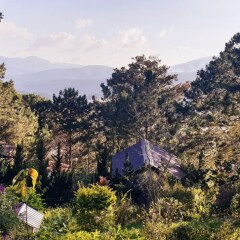Отель Pine Hill Homes Dalat Далат фото 6