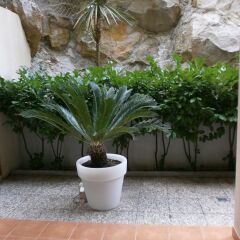Отель The Residence фото 6