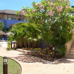 Отель Sanctuary at Grand Memories Varadero - Adults Only фото 4