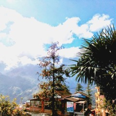 Отель Enjoy Sapa Hostel Вьетнам, Шапа - отзывы, цены и фото номеров - забронировать отель Enjoy Sapa Hostel онлайн фото 10