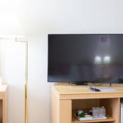 Toyama Chitetsu Hotel Тояма удобства в номере фото 2