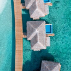 Отель You & Me Maldives Мальдивы, Медупару - отзывы, цены и фото номеров - забронировать отель You & Me Maldives онлайн помещение для мероприятий фото 2