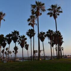 Отель Samesun Venice Beach Лос-Анджелес помещение для мероприятий