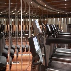 Отель Park Hyatt Istanbul Macka Palas - Boutique Class фитнесс-зал фото 4