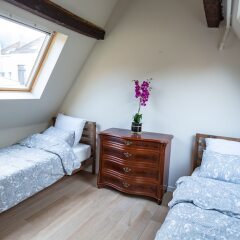 Отель Unique Apartment In Historic Mansion Бельгия, Антверпен - отзывы, цены и фото номеров - забронировать отель Unique Apartment In Historic Mansion онлайн детские мероприятия