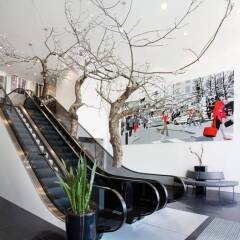 First Hotel G бассейн
