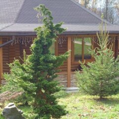 Гостиница Erney Laz Hotel Украина, Хуст - отзывы, цены и фото номеров - забронировать гостиницу Erney Laz Hotel онлайн фото 9
