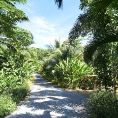 Отель Baan Suan Farmstay Ланта фото 5