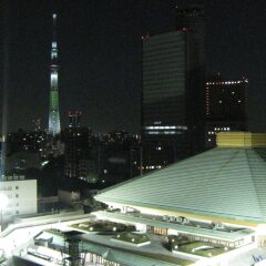 Pearl Hotel Ryogoku спортивное сооружение