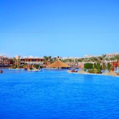 Отель Albatros Palace Resort фото 4