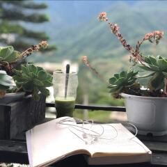 Check In Sapa Hostel and Coffee Шапа питание