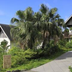 Sankara Hotel & Spa Yakushima Якусима