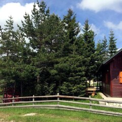 Holiday Home Bella in Zabljak, Montenegro from 97$, photos, reviews - zenhotels.com photo 2
