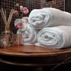 Отель Hôtel Da Vinci & Spa с домашними животными