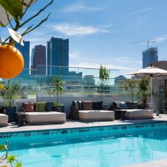 The Mayfair Hotel Los Angeles бассейн