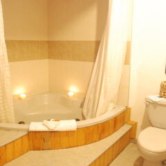 Отель Best Western The Lodge at Creel Мексика, Креэль - отзывы, цены и фото номеров - забронировать отель Best Western The Lodge at Creel онлайн ванная