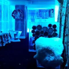 Kube Hotel Ice Bar фото 14